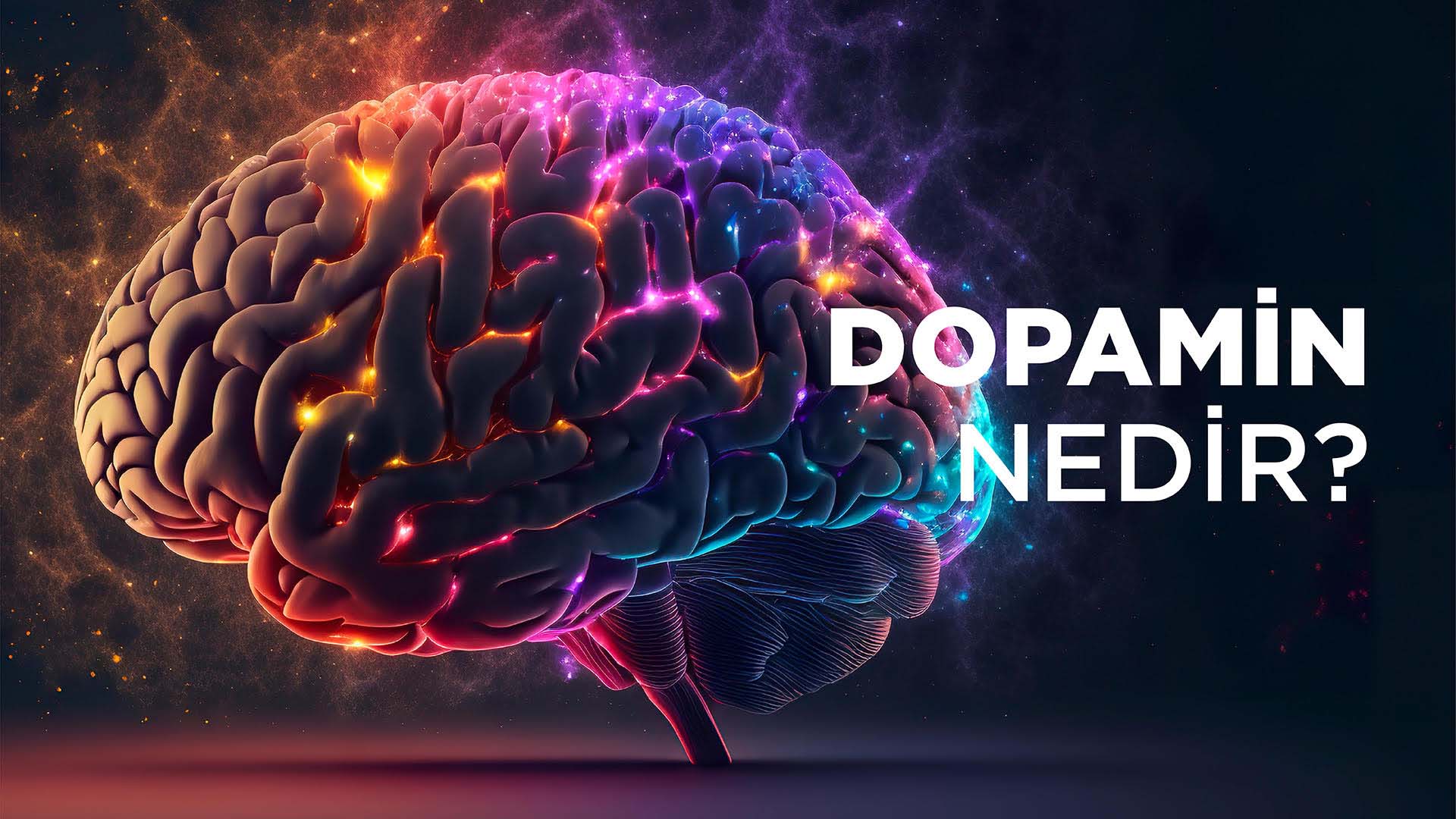  Dopamin Nedir? Dopamin Ne İşe Yarar? | Dopamin Hakkında Bilgi-Vitafenix