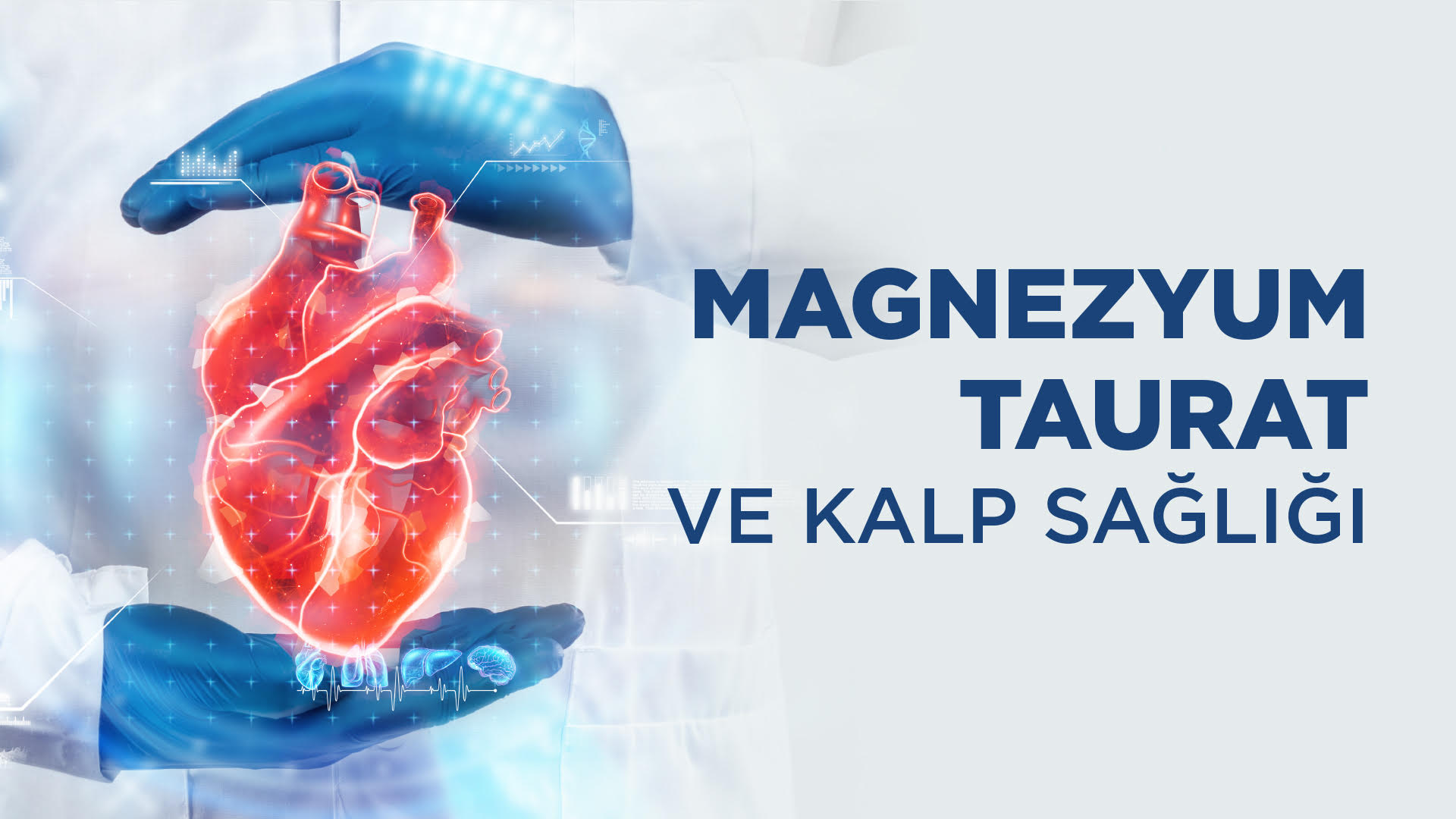 Magnezyum Taurat ve Kalp Sağlığı - Vitafenix
